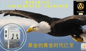顺势黄金刷单EA，以智能算法捕捉黄金趋势，打造高频盈利利器，月收益300%以上