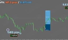 [1420+]Forex Viking Manager的智能交易体验,半自动工具新标杆