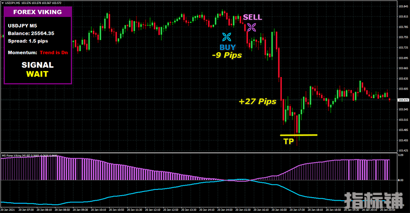 FOREX VIKING PRO一款收费的没有未来函数的外汇交易系统