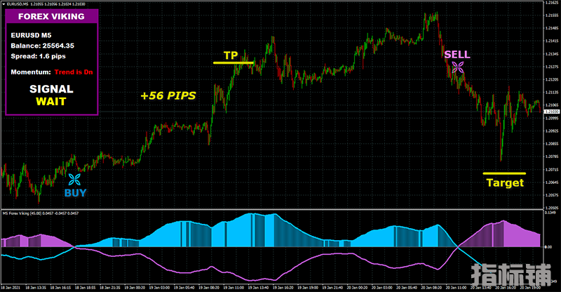 FOREX VIKING PRO一款收费的没有未来函数的外汇交易系统