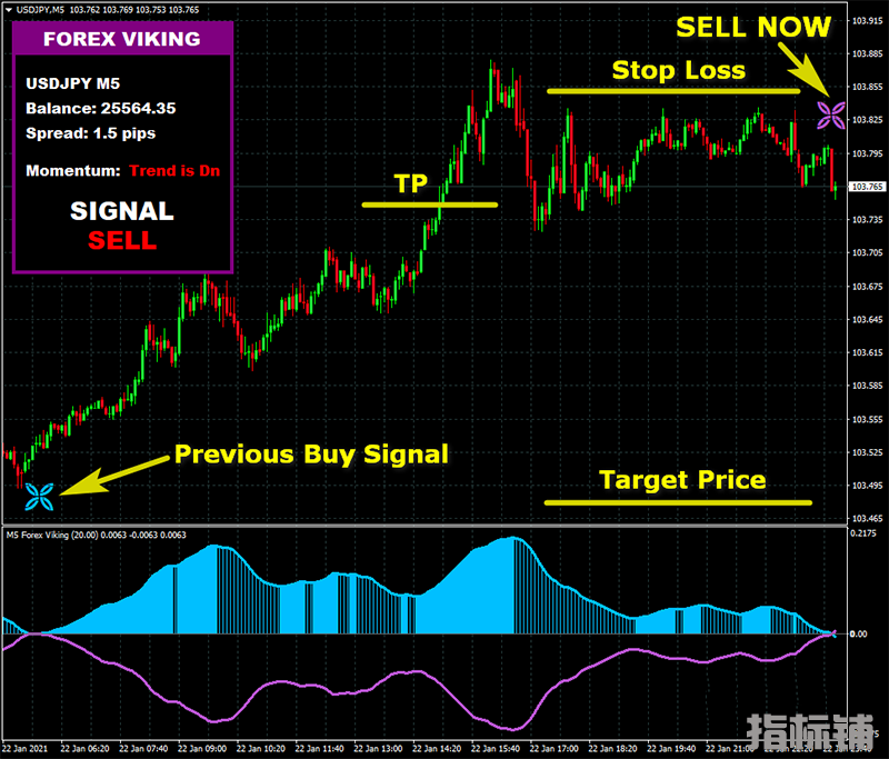 FOREX VIKING PRO一款收费的没有未来函数的外汇交易系统