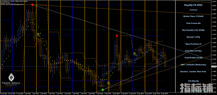 2020Royalty FX 盈利的外汇交易系统下载