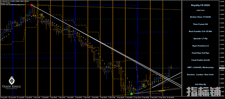 2020Royalty FX 盈利的外汇交易系统下载