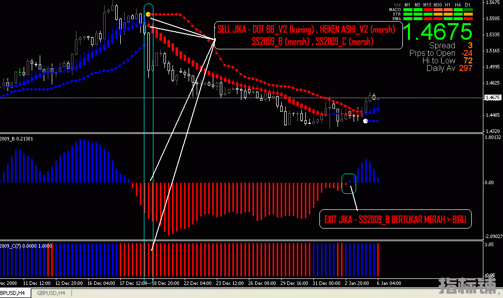 SELL2009_v2.GIF