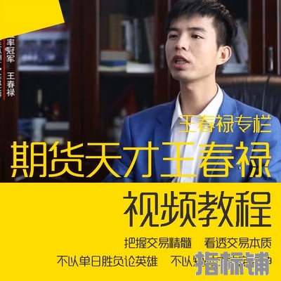 期货天才王春禄 王月松期货特训营视频全集 网络交流课